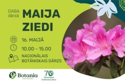 Atpūtas un ceļojumu piedāvājumi 12.05.2026 - 16.05.2026 Pasākums “Maija ziedi” Salaspilī Salaspils novada TIC